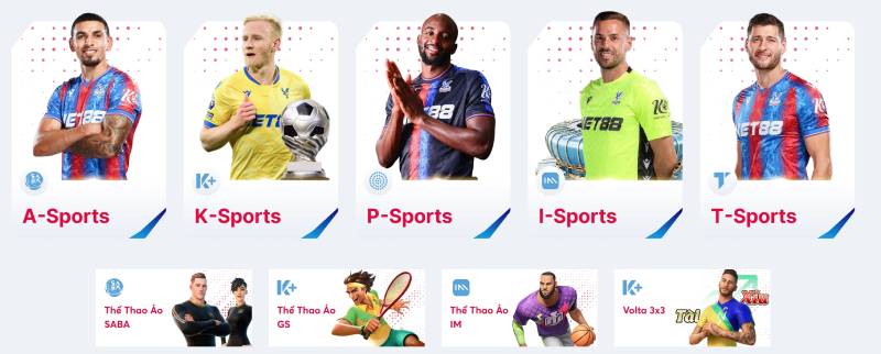 Top 5 trang web cá cược bóng đá ảo uy tín nhất hiện nay