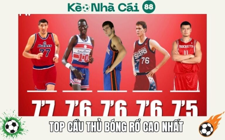 Top Cầu Thủ Bóng Rổ Cao Nhất Trong Lịch Sử - Những Con Ong Khổng Lồ